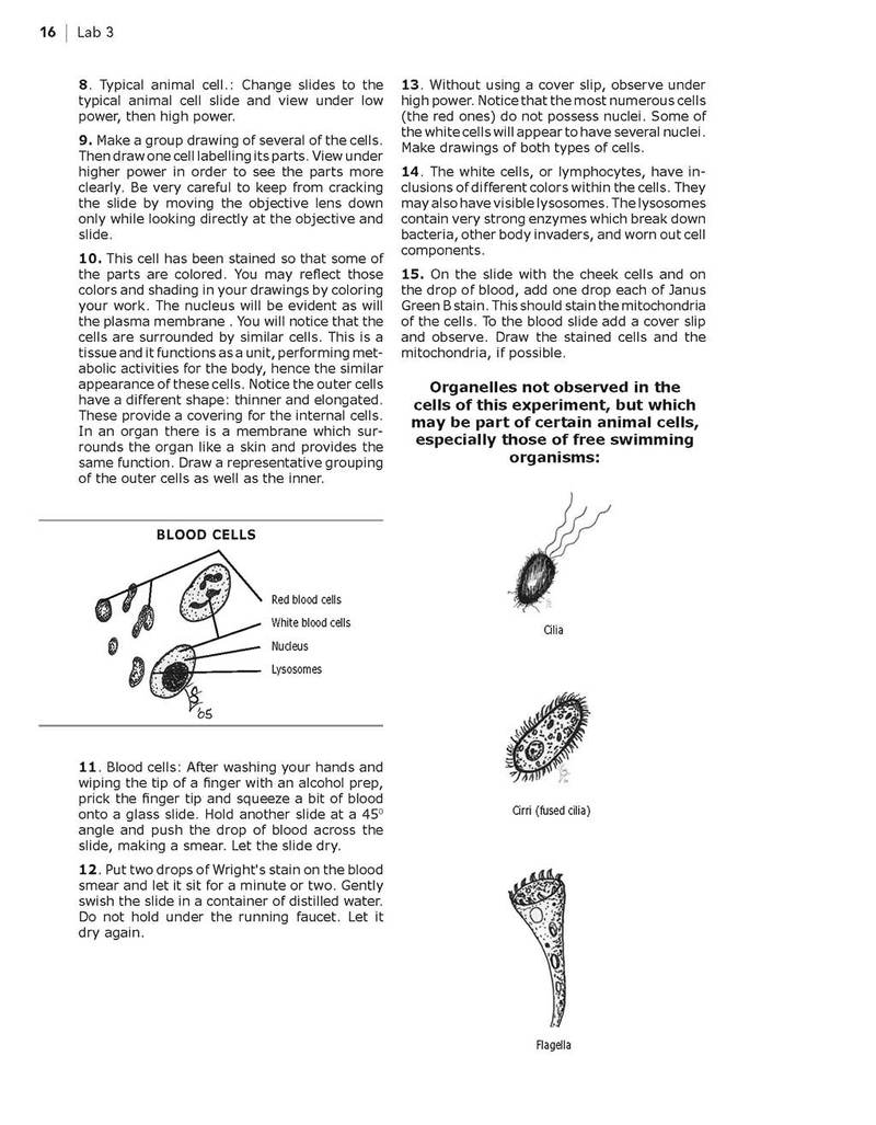 biology 1408 lab manual answers